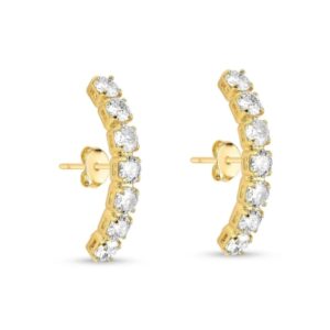 Brinco Ear Hook Com Zircônia