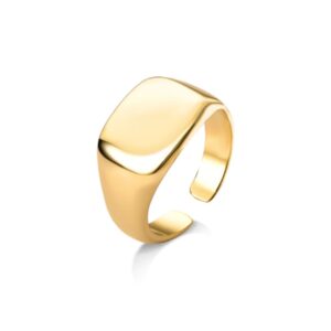 Anel Ajustável Mini Medalha Lisa